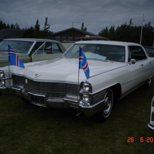 crop-fornbilamot2010_072__large_