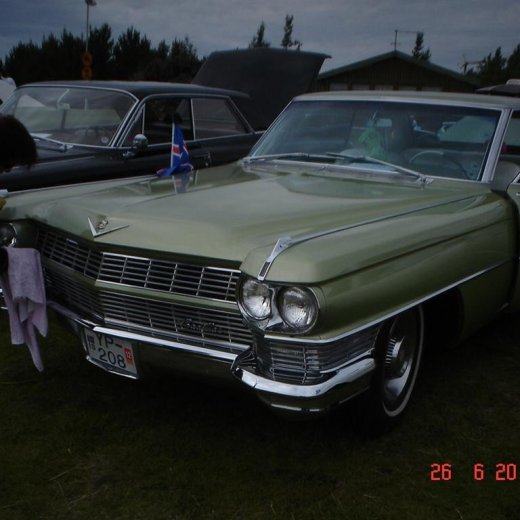 crop-fornbilamot2010_073__large_