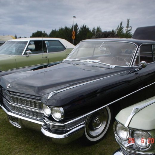 crop-fornbilamot2010_074__large_