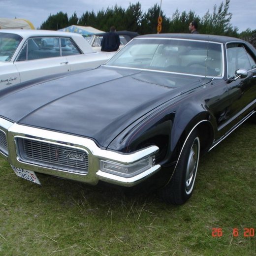 crop-fornbilamot2010_076__large_