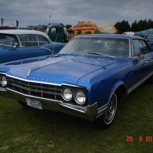 crop-fornbilamot2010_078__large_