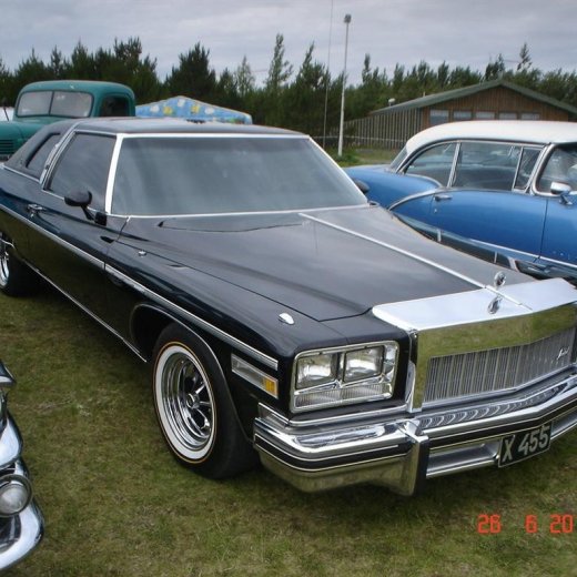 crop-fornbilamot2010_084__large_