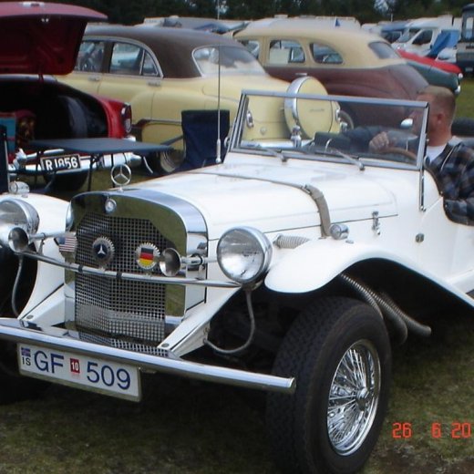 crop-fornbilamot2010_096__large_