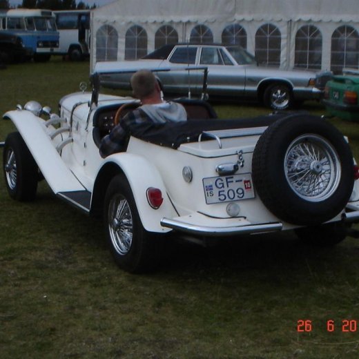 crop-fornbilamot2010_097__large_