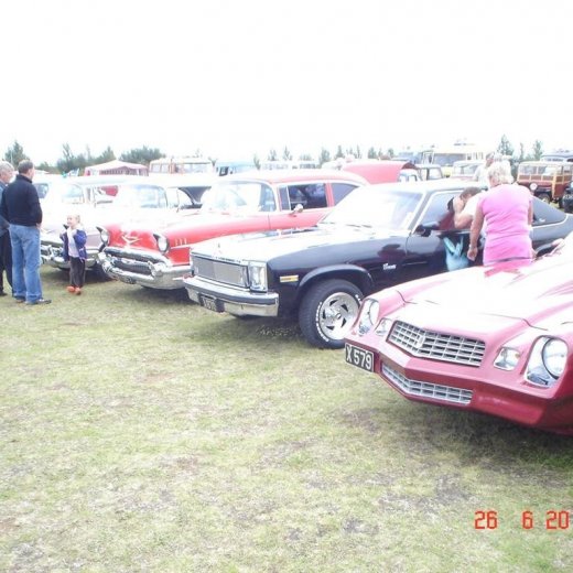 crop-fornbilamot2010_101__large_