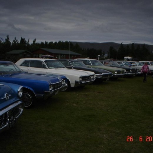 crop-fornbilamot2010_104__large_