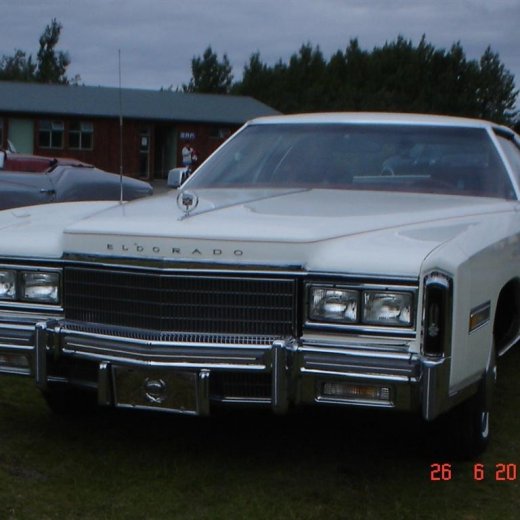 crop-fornbilamot2010_111__large_