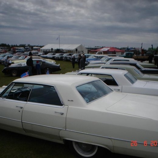 crop-fornbilamot2010_114__large_