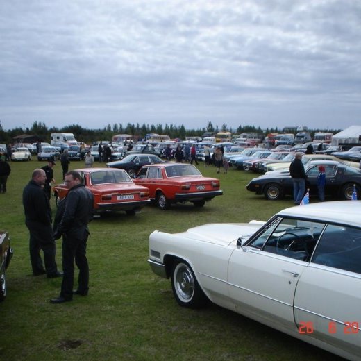 crop-fornbilamot2010_115__large_