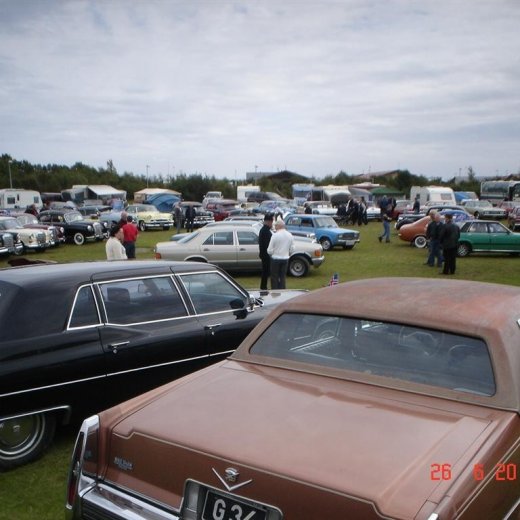 crop-fornbilamot2010_116__large_