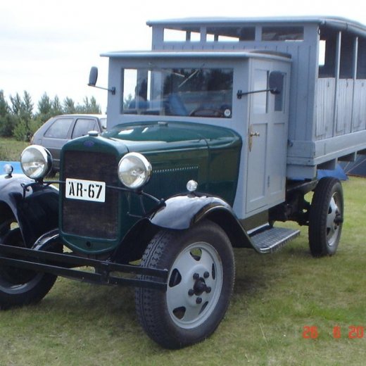 crop-fornbilamot2010_128__large_