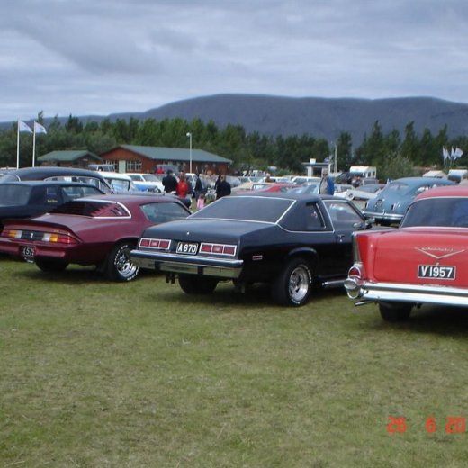 crop-fornbilamot2010_152__large_