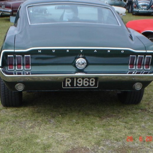 crop-fornbilamot2010_162__large_