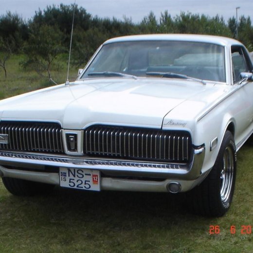 crop-fornbilamot2010_163__large_