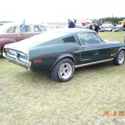 crop-fornbilamot2010_166__large_