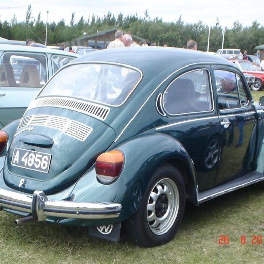 crop-fornbilamot2010_170__large_