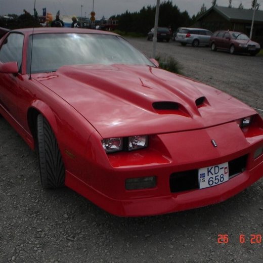 crop-fornbilamot2010_185__large_