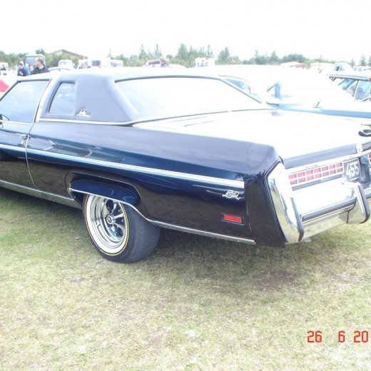 crop-fornbilamot2010_187__large_