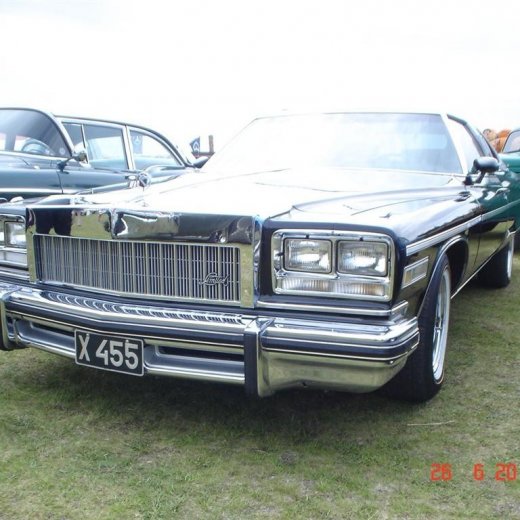 crop-fornbilamot2010_189__large_