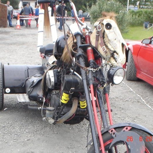 crop-fornbilamot2010_195__large_