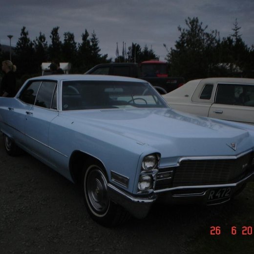 crop-fornbilamot2010_196__large_