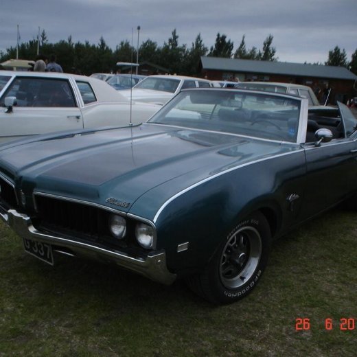 crop-fornbilamot2010_199__large_