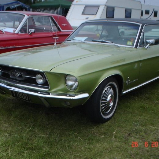 crop-fornbilamot2010_201__large_