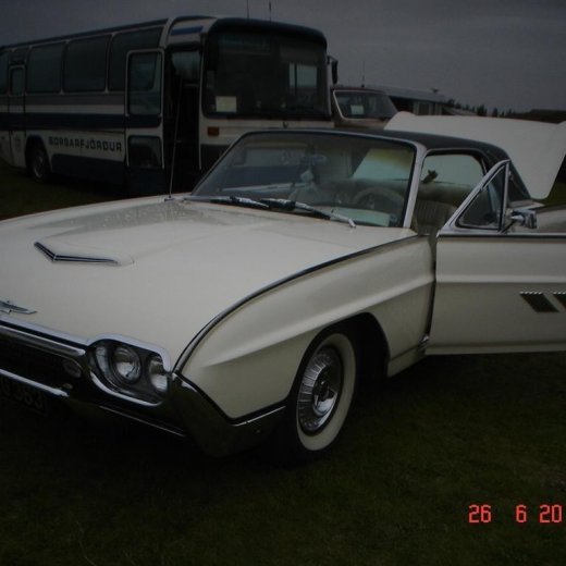 crop-fornbilamot2010_203__large_