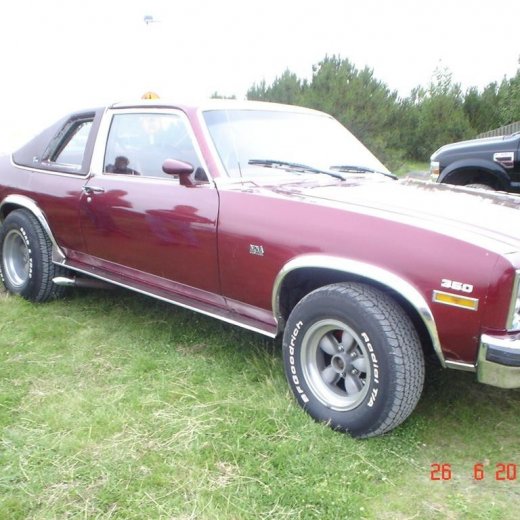 crop-fornbilamot2010_207__large_