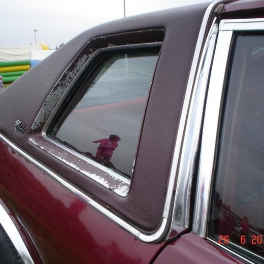 crop-fornbilamot2010_211__large_