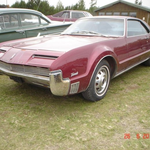 crop-fornbilamot2010_221__large_