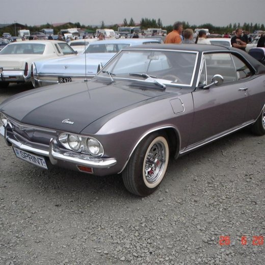 crop-fornbilamot2010_222__large_