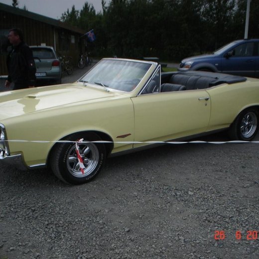 crop-fornbilamot2010_229__large_