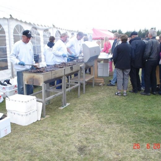 crop-fornbilamot2010_231__large_