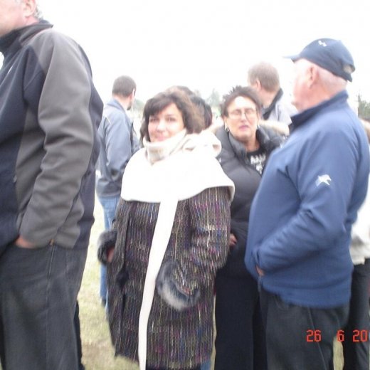 crop-fornbilamot2010_232__large_