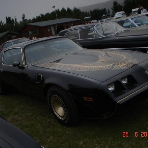 crop-fornbilamot2010_238__large_