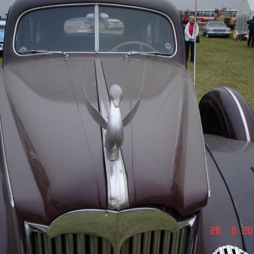 crop-fornbilamot2010_247__large_