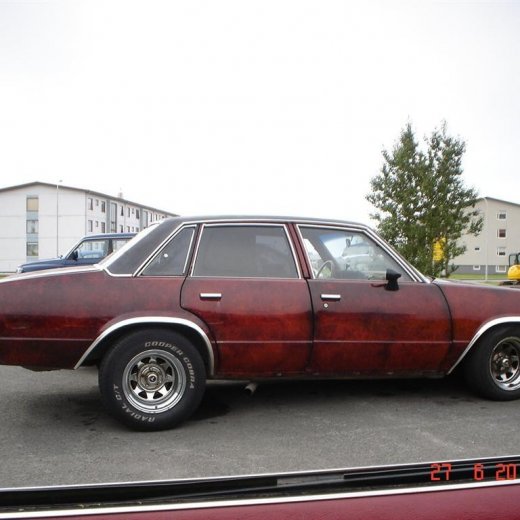 crop-fornbilamot2010_248__large_