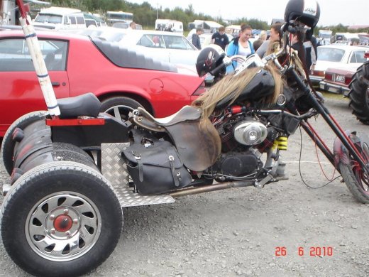 fornbilamot2010_192__large_