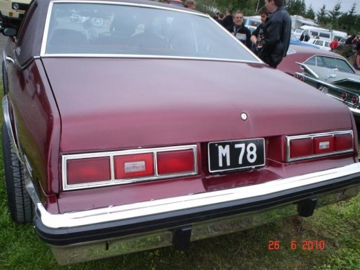 fornbilamot2010_210__large_