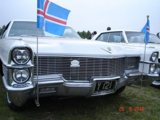 fornbilamot2010_239__large_