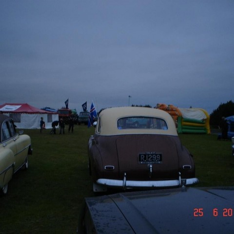 crop-fornbilamot2010_002__large_