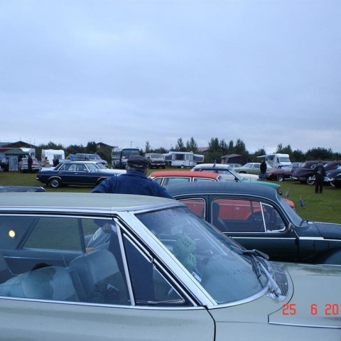 crop-fornbilamot2010_004__large_