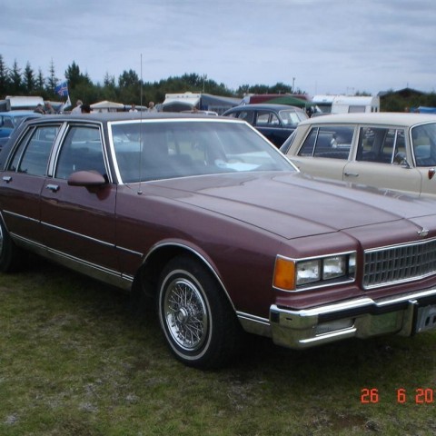 crop-fornbilamot2010_028__large_