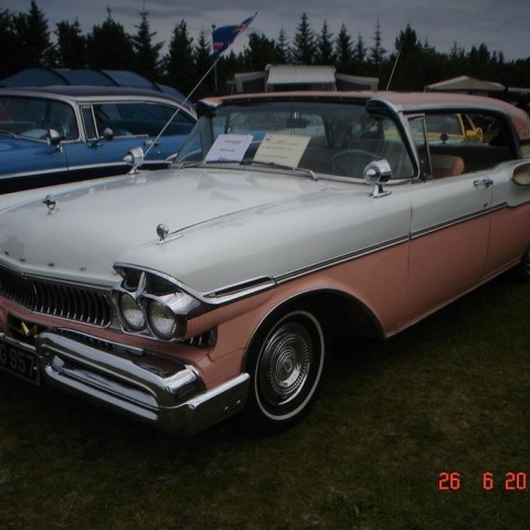 crop-fornbilamot2010_054__large_