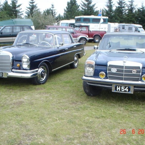 crop-fornbilamot2010_067__large_