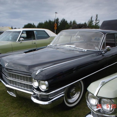 crop-fornbilamot2010_074__large_