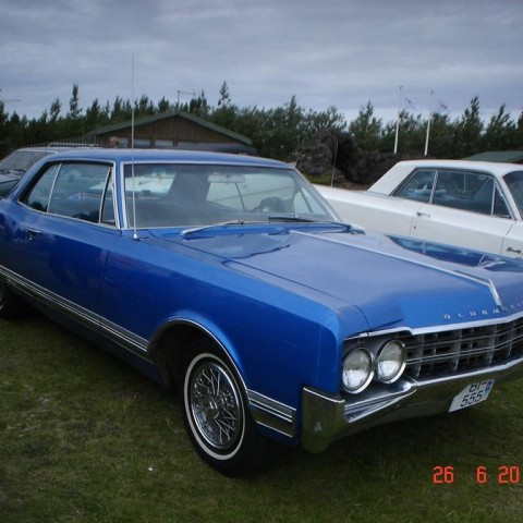 crop-fornbilamot2010_082__large_