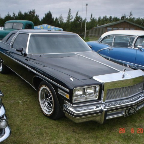 crop-fornbilamot2010_084__large_