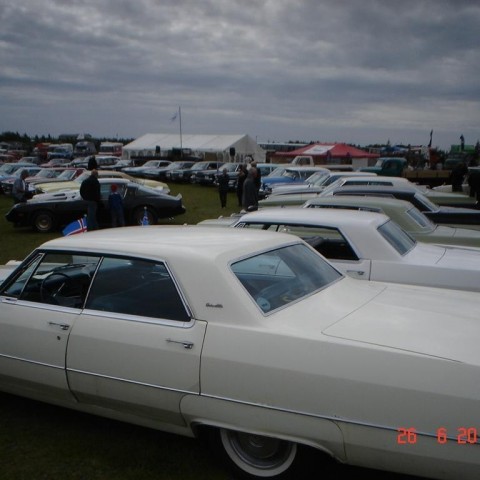 crop-fornbilamot2010_114__large_